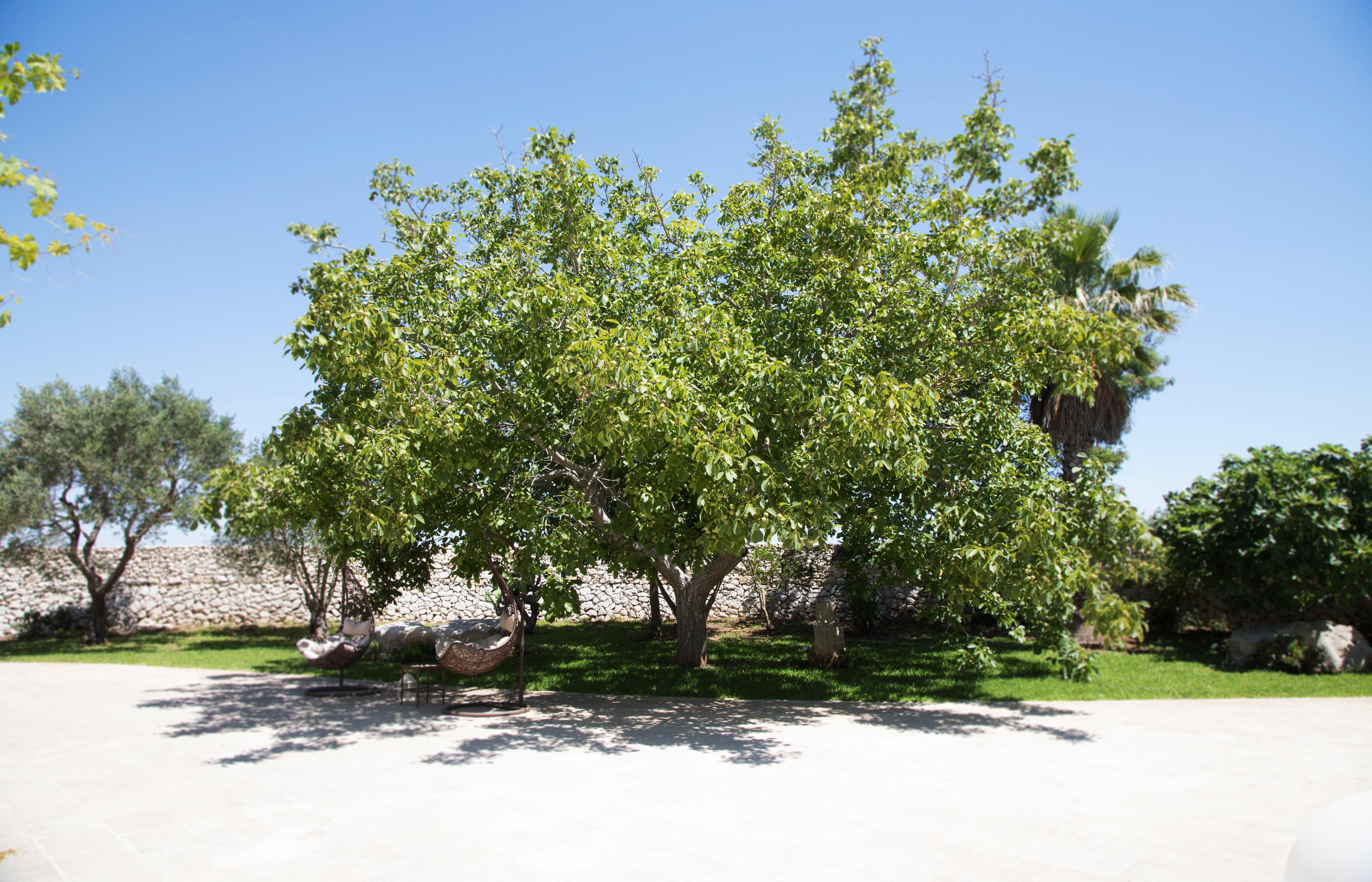 Don Agostino Relais Masseria Martano Eksteriør bilde